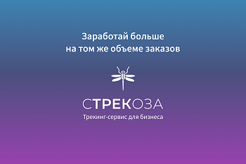 Трекинг-сервис для бизнеса Стрекоза