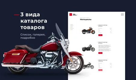 Winn: премиальный корпоративный сайт